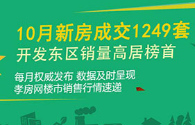 2019年孝感10月新房成交1249套